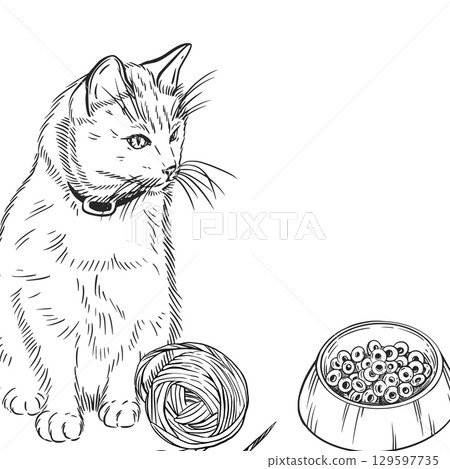 Black and white composition of a pet, cat, bowls of food, a ball of thread for play. All objects are hand-drawn with ink converted into vector, for printing on postcards, coloring pages, packaging. Black and white composition of a pet, cat, bowls of food, a ball of thread for play. All objects are hand-drawn with ink converted into vector, for printing on postcards, coloring pages, packaging. 129597735