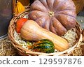 Various varieties of pumpkins and squash in woven basket. Autumn harvest 129597876