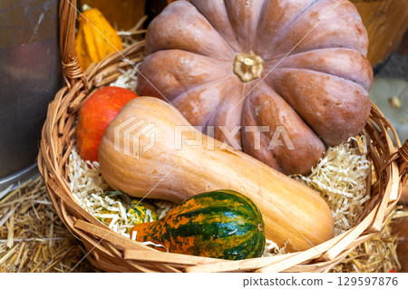 Various varieties of pumpkins and squash in woven basket. Autumn harvest Various varieties of pumpkins and squash in woven basket. Autumn harvest 129597876