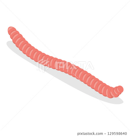 3D Isometric Flat Vector Set of Caterpillars And Worms, Biology and Education. Item 3 129598640