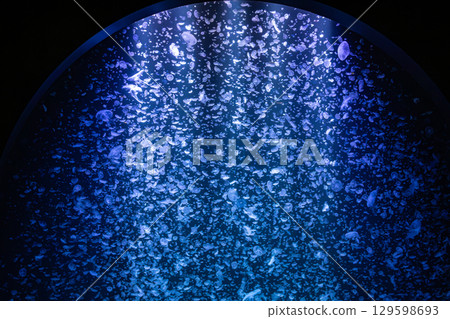 水母幻想曲：舞動的藍色世界 129598693