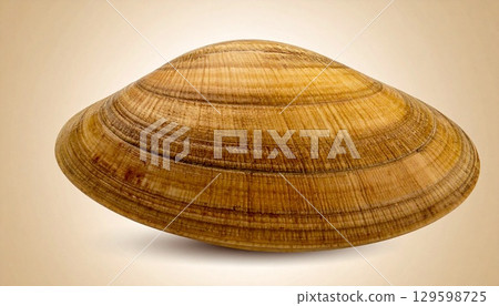 Clam shell close-up 3 129598725