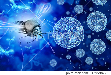 Chikungunya virus mosquito borne 129598729