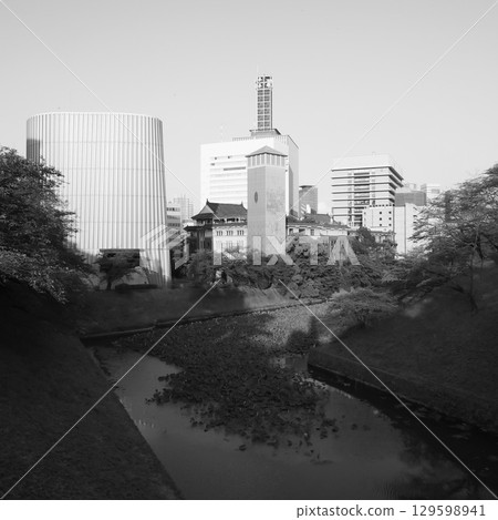 The view of Ushigafuchi moat, a natural beauty remaining in the heart of the city. 129598941