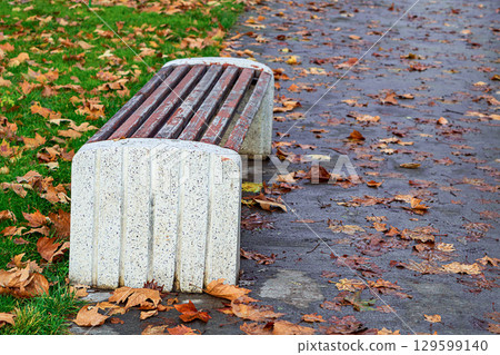 Free empty park bench without back with side supports cast from liquid concrete in autumn with empty copy space. Place for rest during walks in the park. Blank for artwork with area for text, slogan 129599140