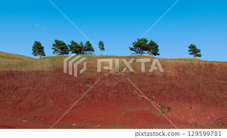 A vivid landscape featuring trees on a vibrant red hill under bright blue skies A vivid landscape featuring trees on a vibrant red hill under bright blue skies 129599781