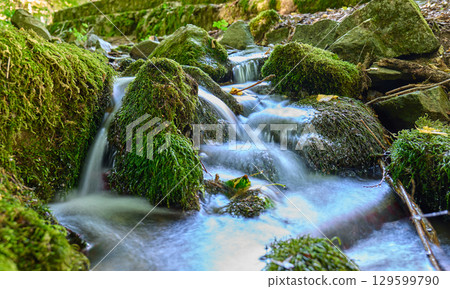Clear water cascades over green mossy stones in a peaceful forest setting 129599790