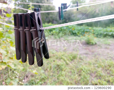 Clothespins Hanging on a Line in a Yard With Green Plants and Trees in the Background Clothespins Hanging on a Line in a Yard With Green Plants and Trees in the Background 129600290