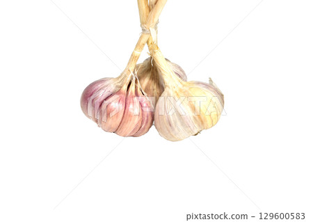 Several heads of garlic. 129600583