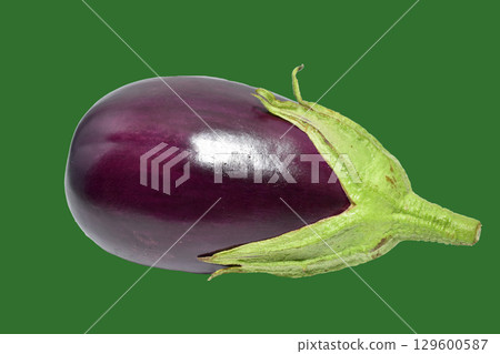 Ripe eggplant fruit. Ripe eggplant fruit. 129600587