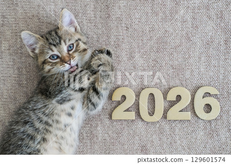 Small tabby kitten is playfully lying next to the numbers "2026". Suitable for concepts of the New Year, calendar, pets and happy moments Small tabby kitten is playfully lying next to the numbers "2026". Suitable for concepts of the New Year, calendar, pets and happy moments 129601574