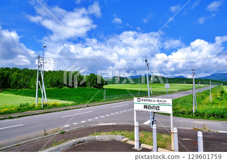 Buckwheat Flower Viewpoint: Pure White Hill (Horokanai Town, Hokkaido) 129601759