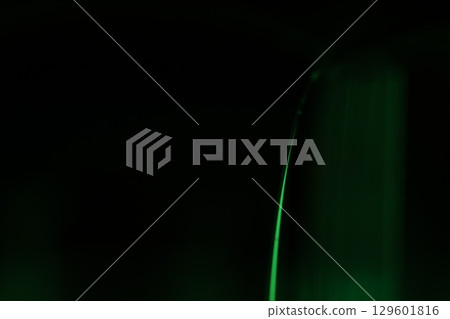 Green liquid film, fantastic bubbles connections, fluid movement, dark fantastic background, transparent oil, green ink 129601816