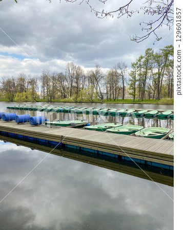 Dozens of green boats sit neatly on a dock by a calm lake, surrounded by trees reflecting in the water, creating a peaceful atmosphere in spring. 129601857