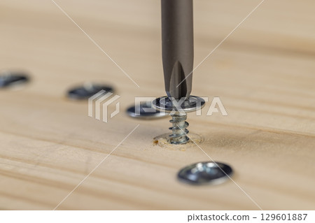 pine board and steel screws , silver self-tapping screws for wood on the board 129601887