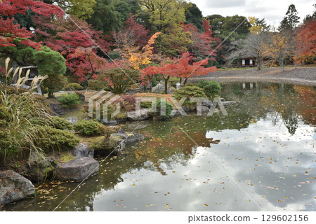 Autumn scenery seen from Yatsuhashi, Kyoto Sento Imperial Palace (Kamigyo Ward, Kyoto City) 129602156