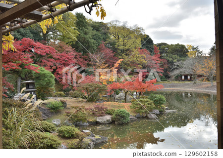 從京都仙洞禦所八橋眺望的秋日風景(京都市上京區) 從京都仙洞禦所八橋眺望的秋日風景(京都市上京區) 129602158