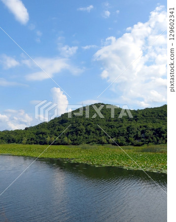 Breathtaking Landscapes at Skadar Lake in Montenegro Showcase Natures Beauty and Serenity Breathtaking Landscapes at Skadar Lake in Montenegro Showcase Natures Beauty and Serenity 129602341