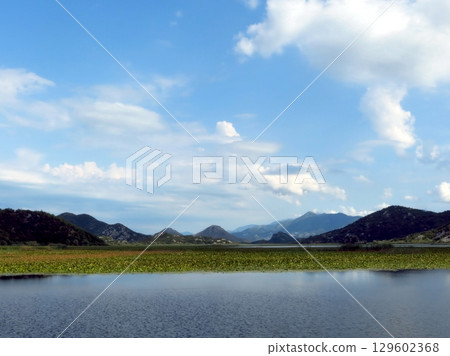 Discovering the Serene Beauty of Skadar Lake in Montenegro During a Sunny Afternoon Discovering the Serene Beauty of Skadar Lake in Montenegro During a Sunny Afternoon 129602368