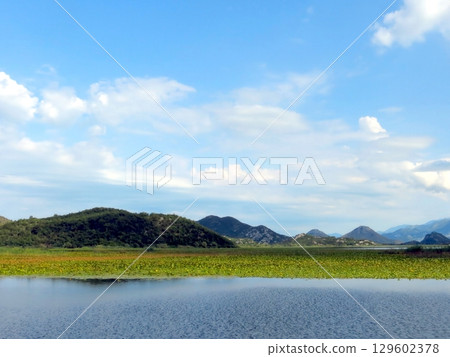 Exploring the Serene Landscapes of Skadar Lake in Montenegro Under a Bright Blue Sky Exploring the Serene Landscapes of Skadar Lake in Montenegro Under a Bright Blue Sky 129602378