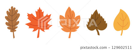 Set of Colorful Autumn Leaves Isolated. Flat Hand Drawn Vector Illustration of Oak, Maple, and Birch Leaves. Fall Season Foliage Elements for Design and Decoration. 129602511