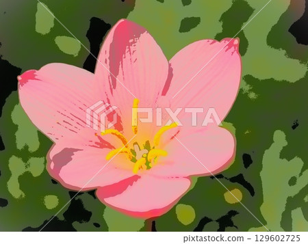 剛綻放的玉簾（afr20250813143630） 129602725