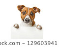 Adorable Dog Holding Blank Sign - Perfect for Messages and Announcements 129603941