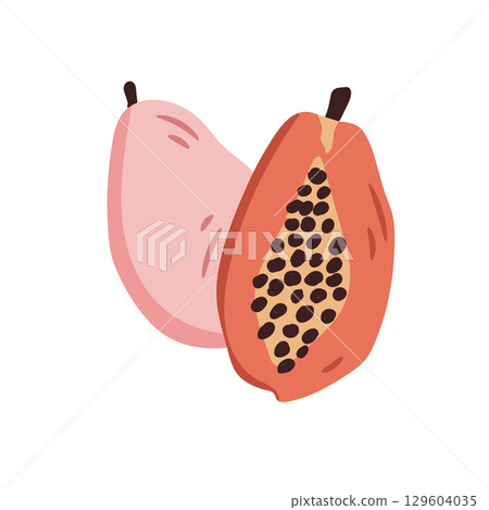 Juicy Papaya Tropical Fruit Vector Illustration 129604035