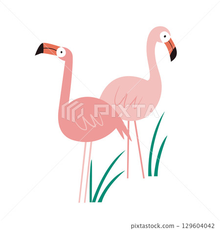 Hand Drawn Vector Illustration of Couple Flamingos in Grass in Cute Wildlife Cartoon Style 129604042