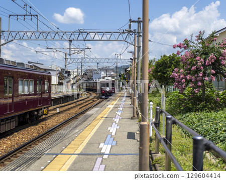 A local train entering Kinunobebashi Station on the Nose Electric Railway 129604414