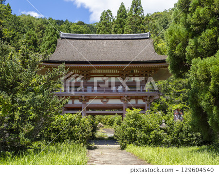 九本寺正門被新綠覆蓋 129604540