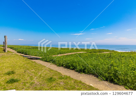 Roadside Station Shiranuka Koimonkan (Hokkaido, July) 129604677