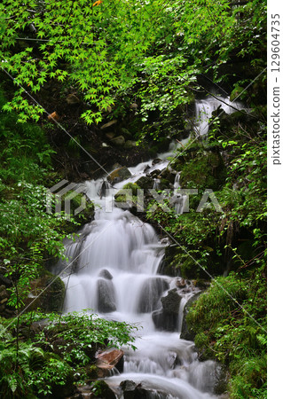 A waterfall flowing through green leaves 129604735