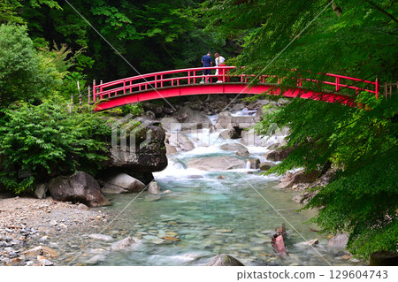 紅色紅葉橋 129604743