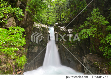 Ryujin Falls surrounded by green leaves 129604744