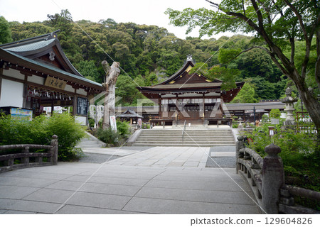 Matsuo Taisha Shrine grounds, Arashiyama, Nishikyo Ward, Kyoto City 129604826