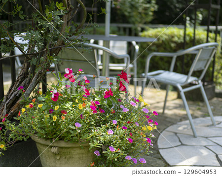 Flower pots on the garden terrace Flower pots on the garden terrace 129604953