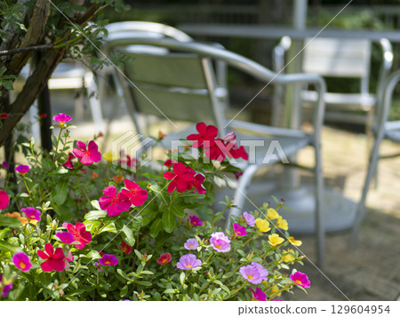 Flower pots on the garden terrace 129604954
