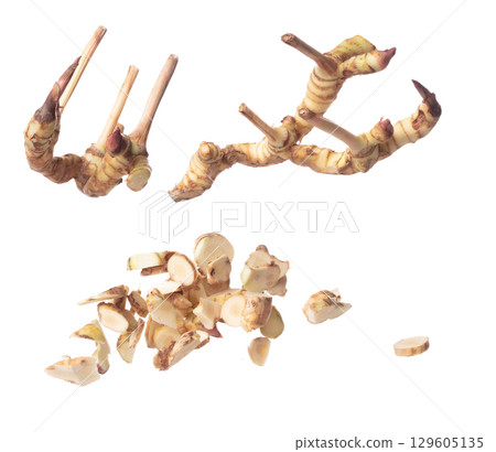 Galangal fly in mid air, fresh vegetable spice galangal falling. Organic fresh herbal galangal root head, close up texture. White background isolated freeze motion high speed shutter Galangal fly in mid air, fresh vegetable spice galangal falling. Organic fresh herbal galangal root head, close up texture. White background isolated freeze motion high speed shutter 129605135