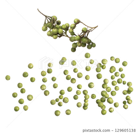 Green Berry Eggplant fly fall, Green Berry Eggplant for planting float in air. Nightshade Berry Eggplant throw in mid air. White background isolated high speed freeze motion 129605138