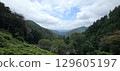 View from the top of the mountain 129605197