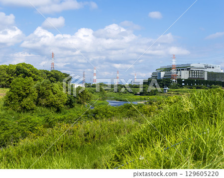 Inagawa River covered with plants in midsummer 129605220