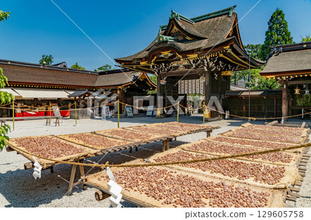 Kitano Tenmangu Shrine surrounded by fresh greenery 129605758