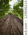 Old wooden desk 129606214