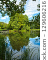 Scenery with a pond 129606216