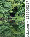 Pond surrounded by green 129606217