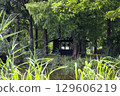 Arbor surrounded by greenery 129606219