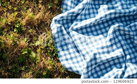 A blue and white checkered tablecloth on the grass, setting the scene for a lovely spring picnic outdoors A blue and white checkered tablecloth on the grass, setting the scene for a lovely spring picnic outdoors 129606925
