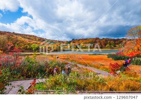 八幡平大沼（秋季） 129607047