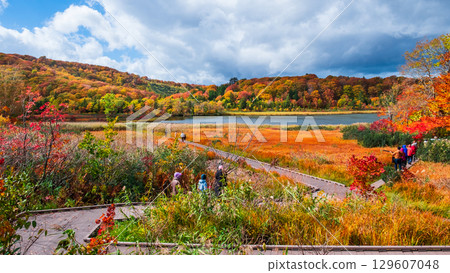 Hachimantai Onuma (Autumn) 129607048